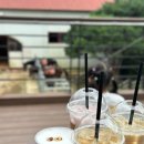 &lt;정읍카페&gt;승마카페 와일드필드, 웨스턴스프링스 승마장(5살아이 승마체험 내돈내산 후기)