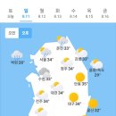 8월11일 날씨 이미지