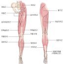 경희탄탄한의원 네이버블로그
