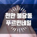 이마트24 호반중한점 | 천안 불당동네일 푸르민네일에서 페디 후기