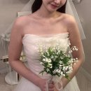 블레스 | 강남 웨딩드레스대여 : 블레스올데이즈 피팅후기