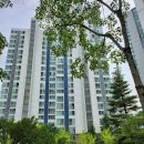 화성금곡초등학교 이미지