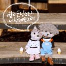 모닝스타 이미지