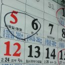 물때따라 이미지
