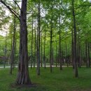 수필로 삶 쓰기 이미지