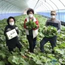 매산청풍 이미지