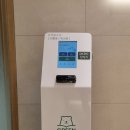 그린베어용호스터디카페 이미지