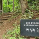 스파 산 이미지