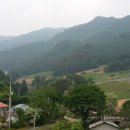 행복한농산물 이미지
