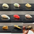 송정지구 유보라 101동 맞은편 | 울산 송정 맛집 오사이초밥 오마카세 가성비 최고인 곳