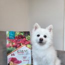 카니코리아 이미지