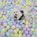 위례유치원 이미지