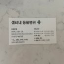 셀레네 동물병원 이미지