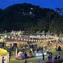 밀양관아 | 즐길 거리가 많았던 2026밀양국가유산야행 후기 및 주차정보