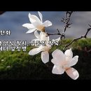 테너 엄정행 이미지