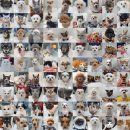 메이트 동물병원 | 판교동물병원,진료 거부 받은 16살 아이도 안전하게 치료받은 곳 특징<2500건 마취무사고 병원 작성>