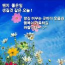 전박사 이미지