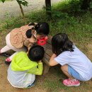 오음초병설유치원 이미지