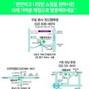 대동모피