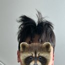 경성술집양정점 | 잘 하는거라곤 먹는거 뿐이에요