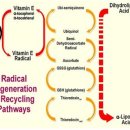 광주주사랑의원 이미지