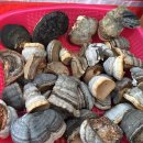 자작나무호텔 이미지