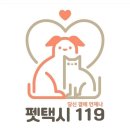 펫택시119 이미지
