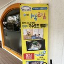 원주, ‘청와대초계국수’ 초계국수 돈까스 내돈내산