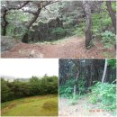 상방경로당 | 영남알프스 둘레길 제1코스 트레킹