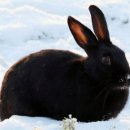 우리캐슬약국 이미지