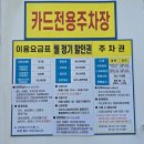 신돈키호테 이미지