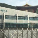 광덕자연어린이집 | 해운대 영어유치원 에밀의 숲 방문상담 후 등록후기 / 더푸른유치원
