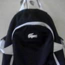 코스테이 이미지