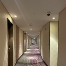 세븐일레븐 수원이비스점 | 수원 호텔 비교 노보텔 vs 이비스 앰배서더 내돈내산 프로포즈