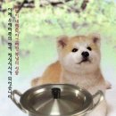 레드 컴퍼니