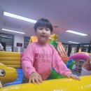 배곧 청록태권도장 이미지