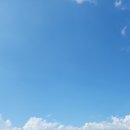 빛과갯벌-2 이미지