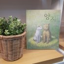 서평&#39;양지&#39;직접 읽어보니