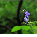 은판나비화장실 이미지