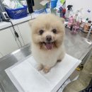 금곡파출소 이미지