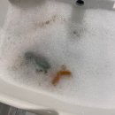 감성 모래놀이세트 조카선물추천 육아템 <b>아보키</b>도