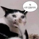 영화에너지 2호 네이버블로그