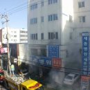 도낏자루