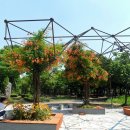 부천중앙공원 이미지