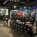 인성 피트니스 이미지