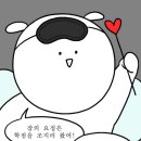 슈발 이미지