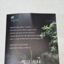 693 | 디퓨져 추천 리두에이블REDOABLE 693 사용기, 향·디자인 다 갖춘 비건디퓨져 후기