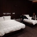 냥냥호텔 이미지