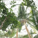 충청남도 산림박물관 이미지