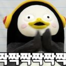 주정차단속-33 이미지